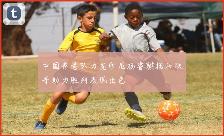 中国香港队力克印尼杨睿骐杨和联手助力胜利表现出色